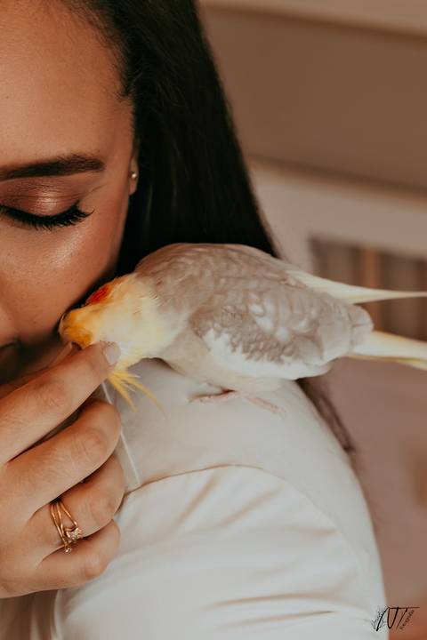 ensaiogestantesp gravida gravidez gestantesp fotosdegestante ensaiosp bookgestante ensaiogravidasp maternidade inspiraçãogestante quartoinfantil charevelação enxovaldebebe meumundorosa meumundoazul sp saopaulo '