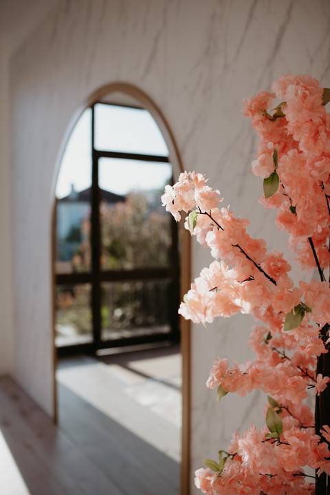 produção de conteúdo
fotos para conteúdos
fotos no espaço
fotos de empreendedora'