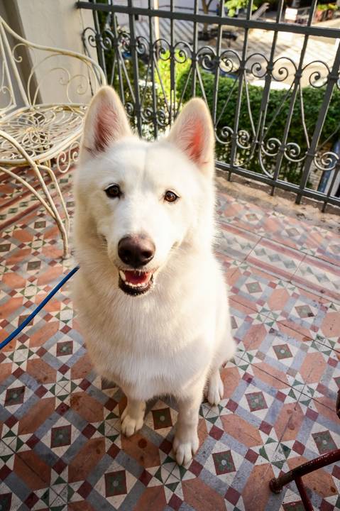 Imagem Vinicius Fadul'