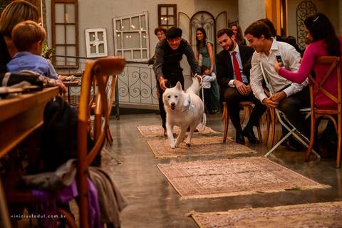 Imagem Vinicius Fadul'