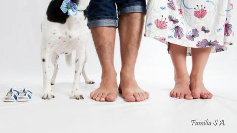 Ensaio Gestante com Pet cao'