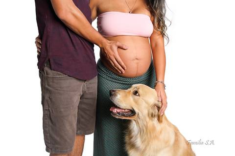 Ensaio Gestante com filho de 4 Patas em Estúdio cão pet'
