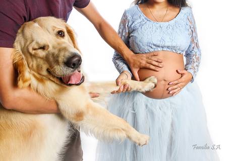 Ensaio Gestante em Estúdio com Pet '