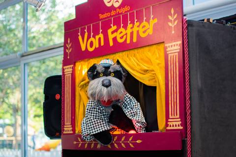 teatro de fantoches em sao paulo'