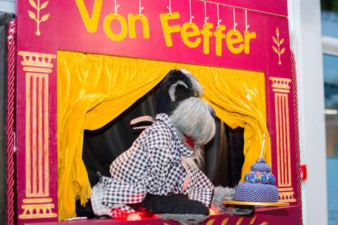 teatro de fantoches em sao paulo'