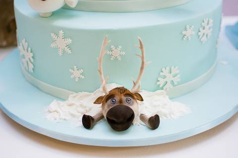 fotografa de festa infantil sao paulo'