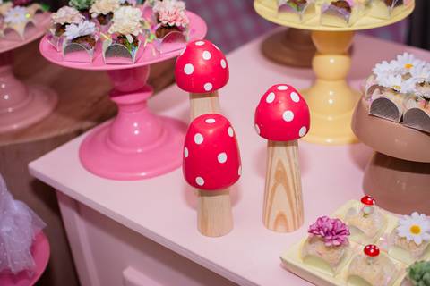 festa jardim encantado'