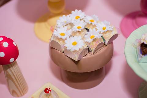 festa jardim encantado'