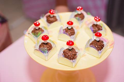 festa jardim encantado'