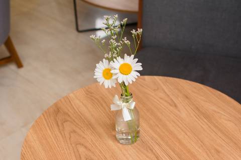 festa jardim decoração'