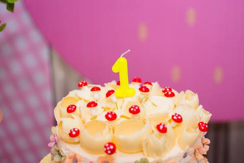 festa jardim inspiração'