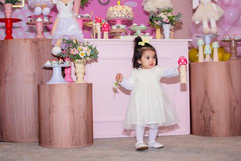 festa jardim ideias '