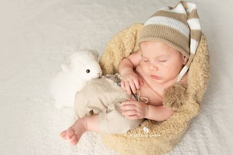 ensaio fotográfico de recém nascido, newborn, fotografia de criança, fotografia de família'