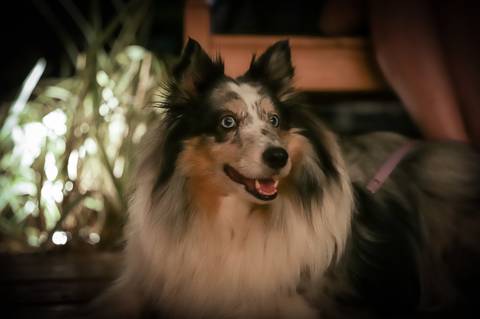 Fotos de melhores momentos da performance na escola de música Voice no Brooklin SP
'