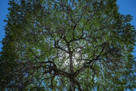 Registro fotográfico da estrutura da Escola Voice, no Brooklin.'