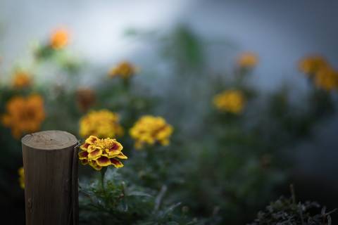 Registro fotográfico da estrutura da Escola Voice, no Brooklin.'