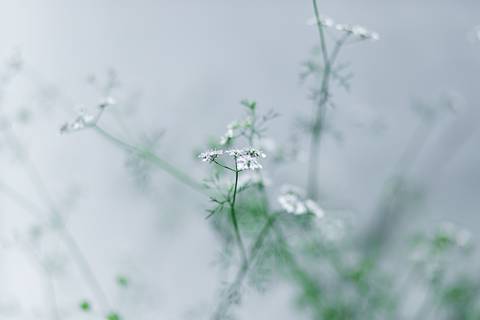 Registro fotográfico da estrutura da Escola Voice, no Brooklin.'