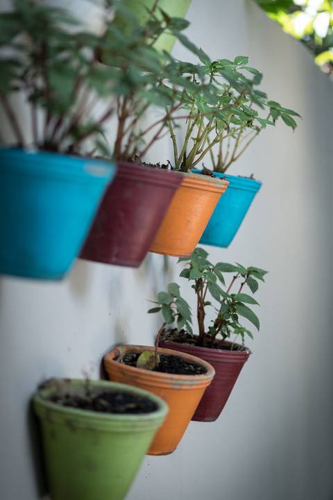 Registro fotográfico da estrutura da Escola Voice, no Brooklin.'