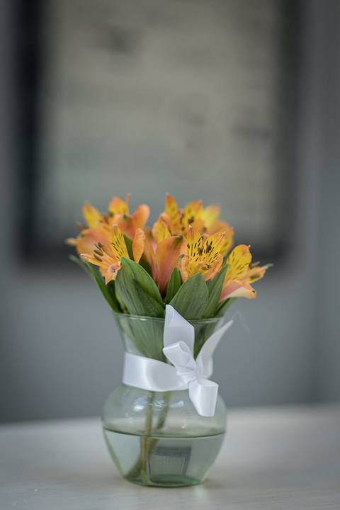 Registro fotográfico da estrutura da Escola Voice, no Brooklin.'