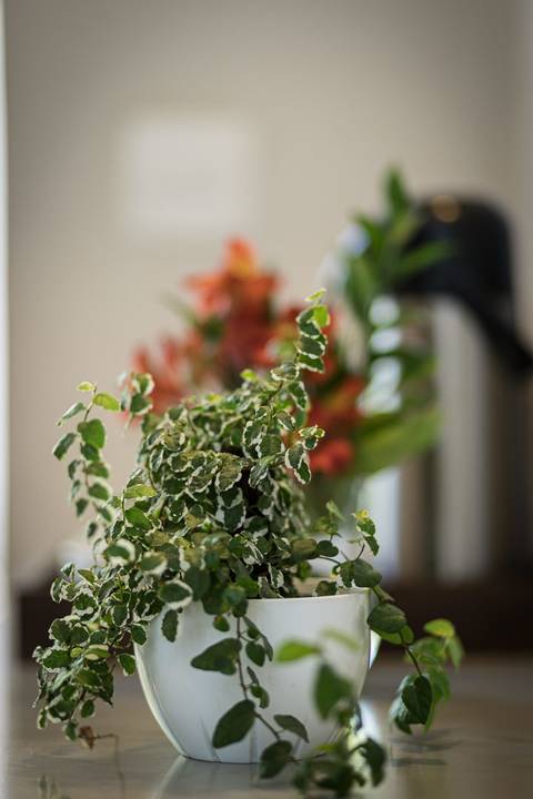 Registro fotográfico da estrutura da Escola Voice, no Brooklin.'