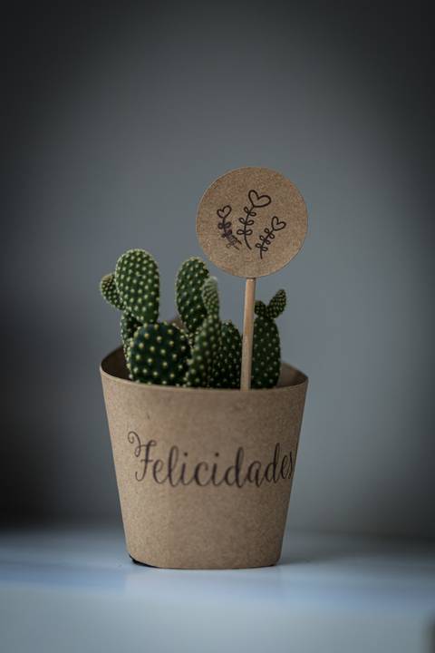 Registro fotográfico da estrutura da Escola Voice, no Brooklin.'