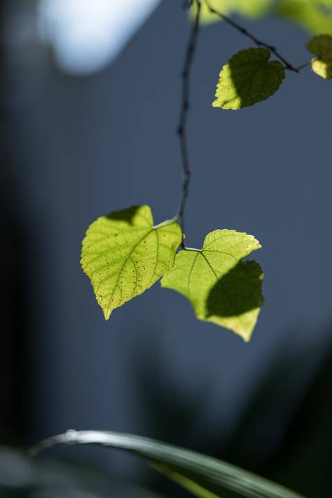 Registro fotográfico da estrutura da Escola Voice, no Brooklin.'
