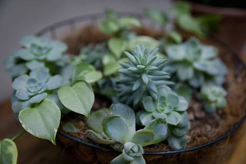 Estrutura do Escritório da OZAI Contabilidade em SP'