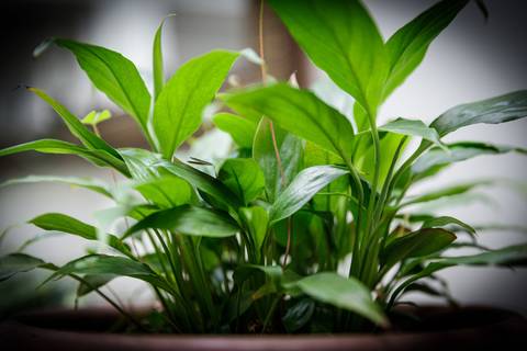 Estrutura do Escritório da OZAI Contabilidade em SP'