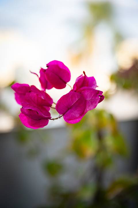 Estrutura do Escritório da OZAI Contabilidade em SP'