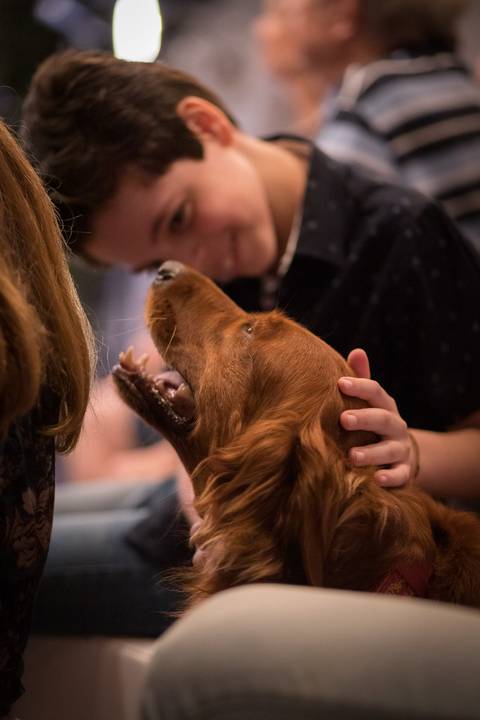 momentos do sarau voice na escola Voice no Brooklin SP apresentações artísticas com registro em foto e vídeo profissional
'