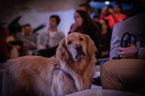 momentos do sarau voice na escola Voice no Brooklin SP apresentações artísticas com registro em foto e vídeo profissional
'
