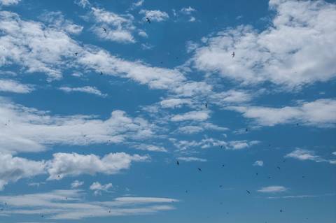Registro das etapas de Obra de Perfuração Horizontal Direcional, HDD, para uso em material de comunicação e relatórios internos da Empresa
'