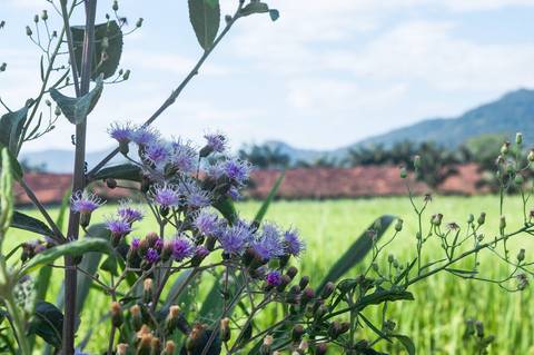 Registro das etapas de Obra de Perfuração Horizontal Direcional, HDD, para uso em material de comunicação e relatórios internos da Empresa
'