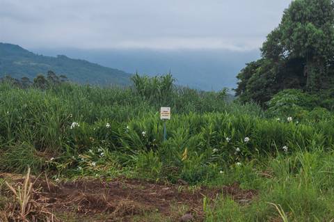 Registro das etapas de Obra de Perfuração Horizontal Direcional, HDD, para uso em material de comunicação e relatórios internos da Empresa
'