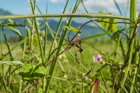 Registro das etapas de Obra de Perfuração Horizontal Direcional, HDD, para uso em material de comunicação e relatórios internos da Empresa
'