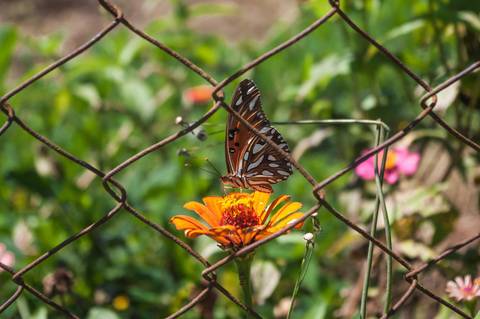 Registro das etapas de Obra de Perfuração Horizontal Direcional, HDD, para uso em material de comunicação e relatórios internos da Empresa
'