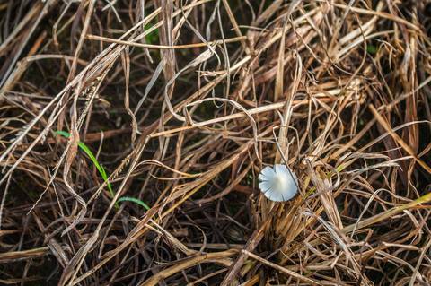 Registro das etapas de Obra de Perfuração Horizontal Direcional, HDD, para uso em material de comunicação e relatórios internos da Empresa
'