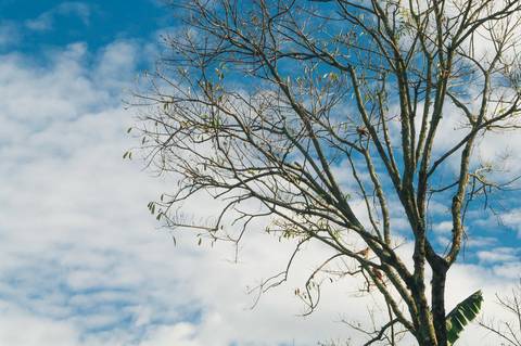 Registro das etapas de Obra de Perfuração Horizontal Direcional, HDD, para uso em material de comunicação e relatórios internos da Empresa
'