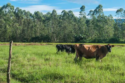 Registro das etapas de Obra de Perfuração Horizontal Direcional, HDD, para uso em material de comunicação e relatórios internos da Empresa
'