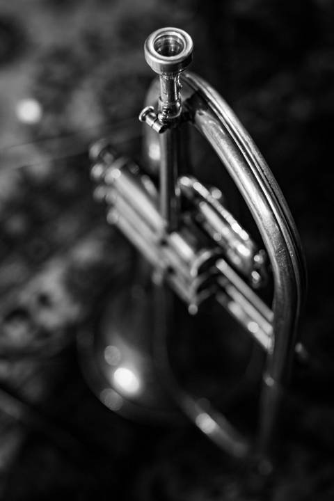 Alafia no blue note sp a digna banda '