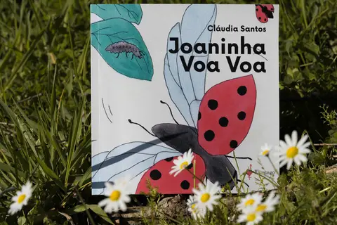 Cláudia Santos Edições Flamingo Joaninha Voa Voa'