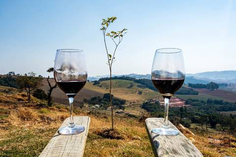 Mesa com vista da montanha'