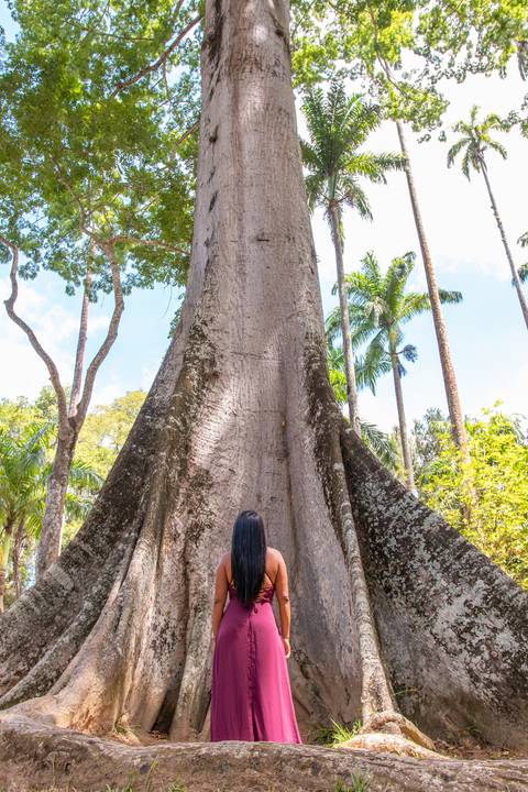 Ensaio feminino de aniversário no Jardim Botãnico
Fotos no Jardim Botãnico - Rio de Janeiro'