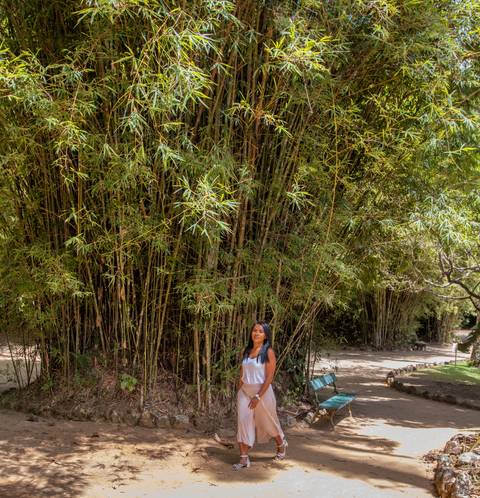 Ensaio feminino de aniversário no Jardim Botãnico
Fotos no Jardim Botãnico - Rio de Janeiro'
