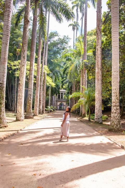 Ensaio feminino de aniversário no Jardim Botãnico
Fotos no Jardim Botãnico - Rio de Janeiro'