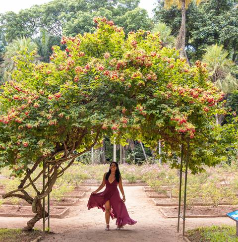 Ensaio feminino de aniversário no Jardim Botãnico
Fotos no Jardim Botãnico - Rio de Janeiro'