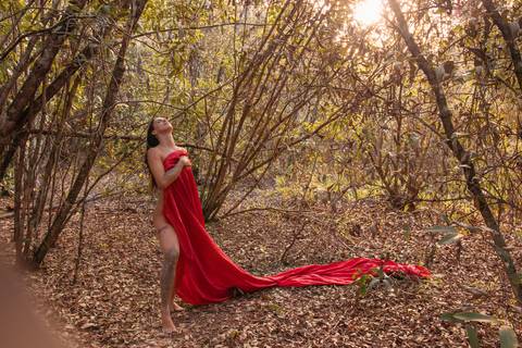 Ensaio sensual feminino externo no bosque
Foto de lingerie vermelha
Ideias de poses sensuais
Ensaio nua na floresta com tecido vermelho'