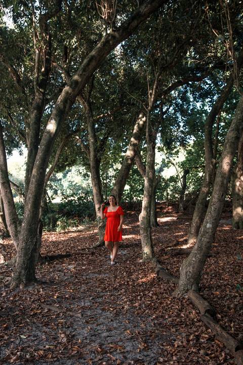 Ensaio feminino no bosque da barra. 

Fotos no bosque da. barra rio de janeiro'
