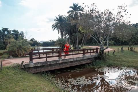 Ensaio feminino no bosque da barra. 
Fotos no bosque da. barra rio de janeiro'