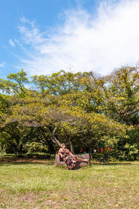 Mulher-no-bosque-da-barra'